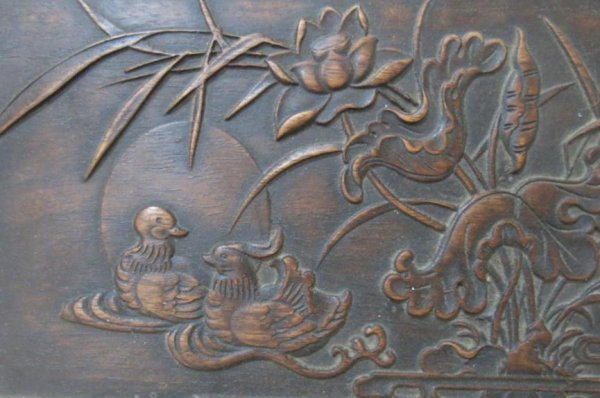 鸳鸯的含义寓意和象征意义