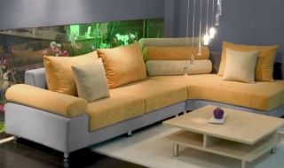 冬天都是哪些室内花卉 冬天哪些花卉适宜养在室内