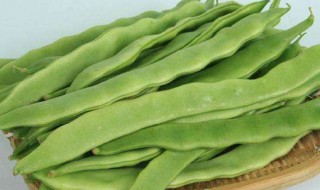 扁豆如何保鲜 扁豆怎么保鲜