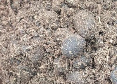 养花植料有哪些 用什么植料养护绿植开花不用愁