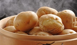 苋菜和土豆能一起吃吗 苋菜和土豆可以一起食用吗