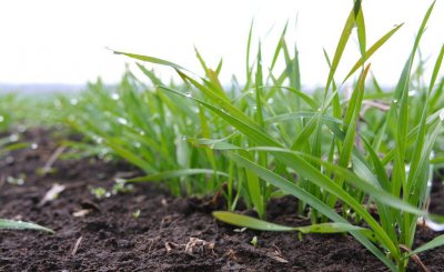 农事活动包括哪些过程 在农村一年四季有哪些农事活动