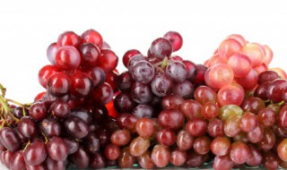 红提怎么分辨好坏 红提如何分辨质量好坏呢