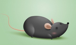 木鼠穿什么颜色衣服旺财 属鼠人永远最旺的颜色