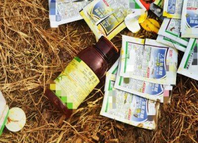 玉米除草剂能不能和杀虫剂混用 不能和哪些杀虫剂复配