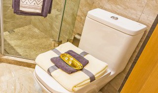 卫生间挂件什么物件能辟邪 卫生间挂件哪些物件能辟邪