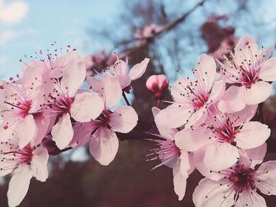 天蝎男的性格特点和爱情观 天蝎座在爱情中的表现分析