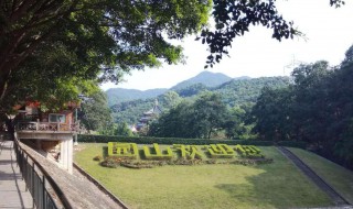 园山在哪里 园山的位置