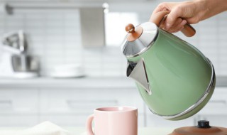 养生壶挑选方法 养生壶怎么挑选