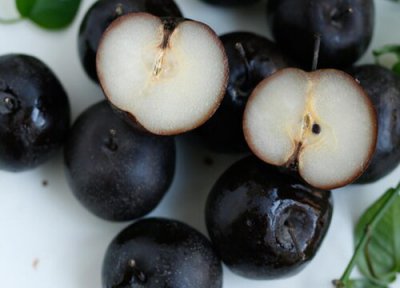 黑皮梨是什么品种图片 意大利黑色皮的梨叫什么名字