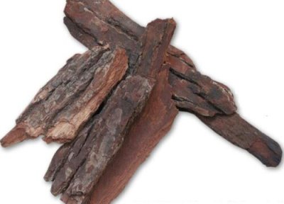 养兰花什么树皮都可以吗 树皮种植兰花都有哪些养护技巧