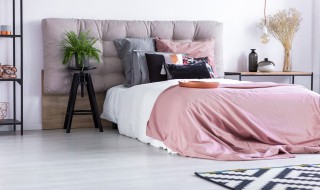 床头摆什么植物好 适合放床头的植物