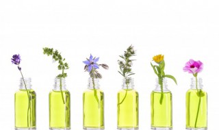 法国香水有保质期吗 法国香水有没有保质期