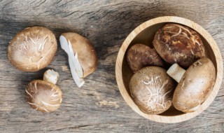 新鲜香菇买来如何保存 新鲜香菇买来怎样保存呢