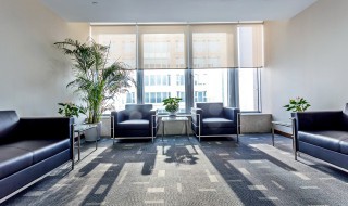 客厅摆放滴水观音盆景好不好 客厅摆放滴水观音盆景有哪些禁忌