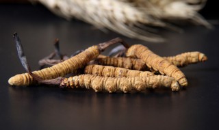 冬虫夏草能冷冻保存吗 冬虫夏草是否能冷冻保存