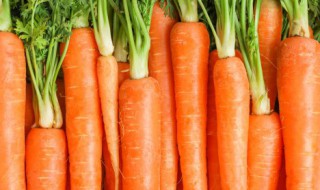 怎么蒸红萝卜丝 蒸红萝卜丝方法