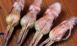 蛤蟆什么季节吃好 东北特产蛤蟆油(雪蛤)什么季节吃好