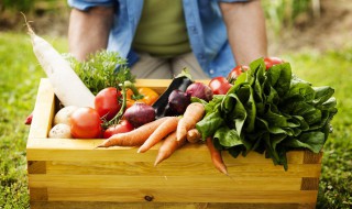 青菜怎么挑选才好吃 青菜如何挑选才好吃