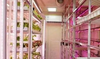 人工水培牧草种植方法 人工水培牧草种植注意事项