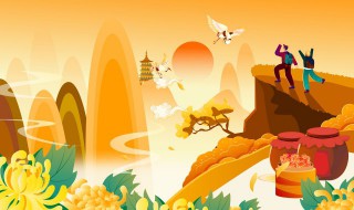 重阳节送什么花 适合重阳节送的花