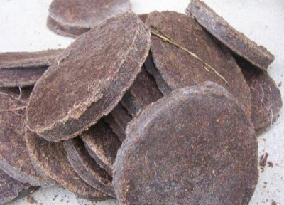 自制饼肥水怎么不臭 发酵饼肥水如何养花没有臭味