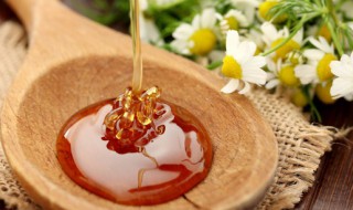 蜂蜜和香蕉能不能一起吃 蜂蜜和香蕉可以一起吃吗