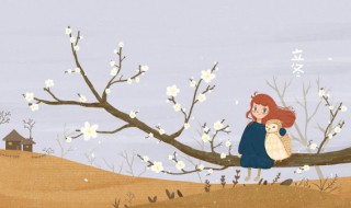 南宁适合立冬吃的蔬菜 哪些蔬菜适合在立冬吃呢