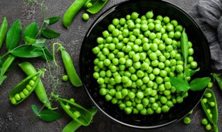 羊肉和豌豆能一起吃吗 羊肉和豌豆可以一起吃吗