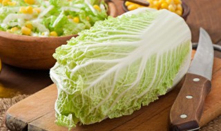 寒露前后可以种什么蔬菜 寒露前后适合种哪些蔬菜