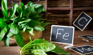 吃菠菜什么季节好 菠菜是什么季节的菜