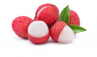 荔枝籽能泡多长时间发芽 荔枝核放水里浸泡多长时间能发芽