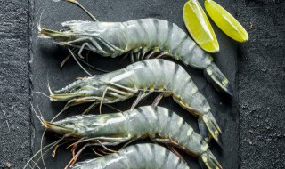 活虾保鲜保存办法 活虾的保存方法冷藏冷冻