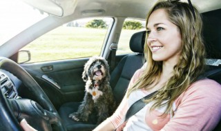 化妆包能不能带上公交车 化妆包可以带上公交车吗