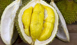 早餐吃榴莲好吗 早上可以吃榴莲吗