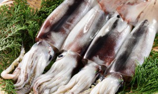 怎样挑选优质干墨鱼 挑选优质干墨鱼的方法