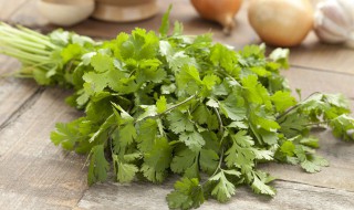 香菜冬天室外种植可以吗 冬天能种香菜吗