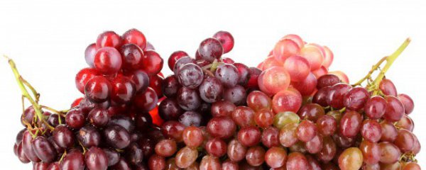 葡萄能放在冷冻保存吗