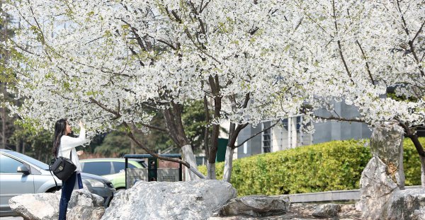 江苏大学在是什么档次院校