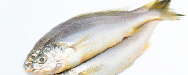 短时间腌制的鱼能吃吗