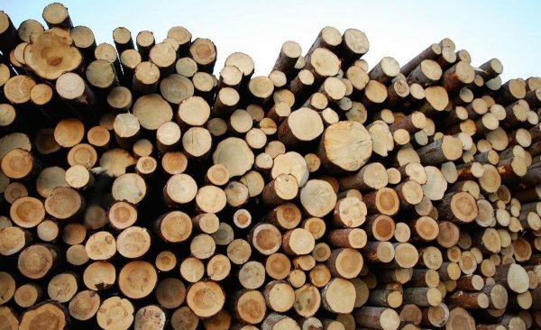 硬木有哪些木材