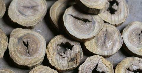 硬木有哪些木材