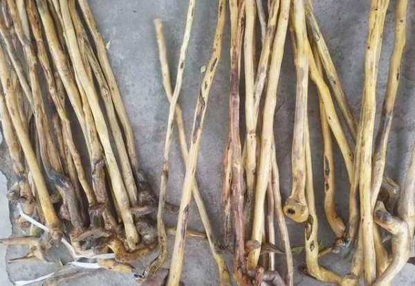 硬木有哪些木材