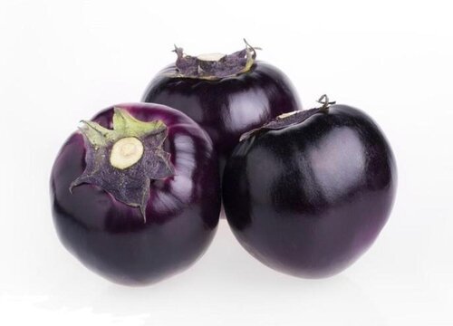 茄子能放冰箱吗