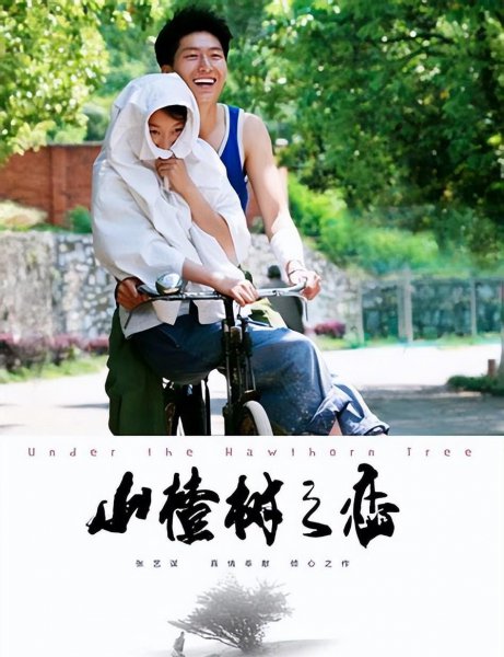 电影爱情片哪些更经典