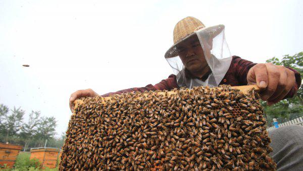 适合3万以下的养殖项目