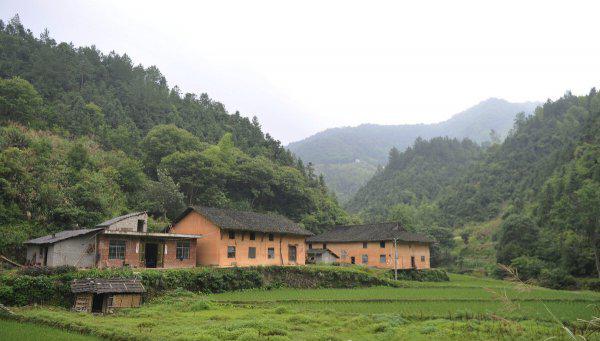 适合3万以下的养殖项目