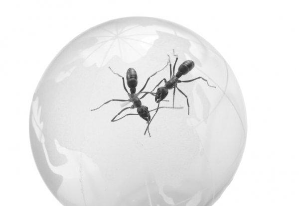 适合3万以下的养殖项目