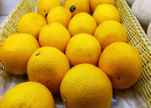 福建盛产什么水果有名