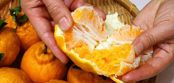 春天有什么水果成熟了